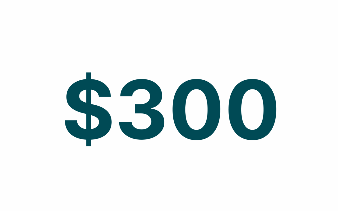 $300 Donation